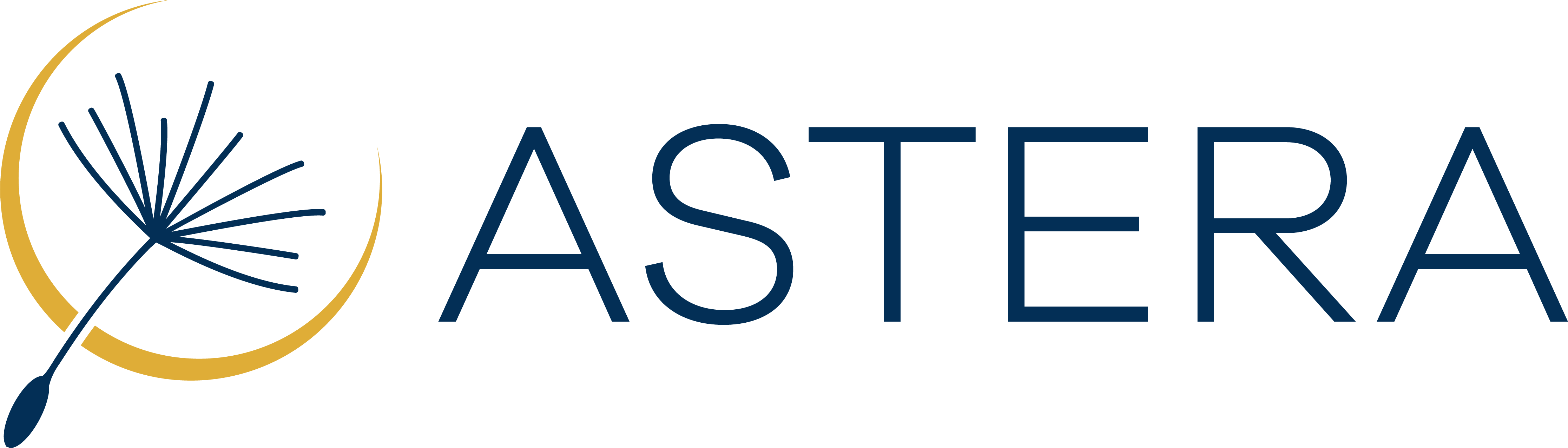 Company logo for Astera Institute
