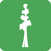 Company logo for Sequoia Services